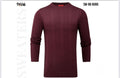 #SW-98 BURGUNDY SWEATER PAVINI image 0